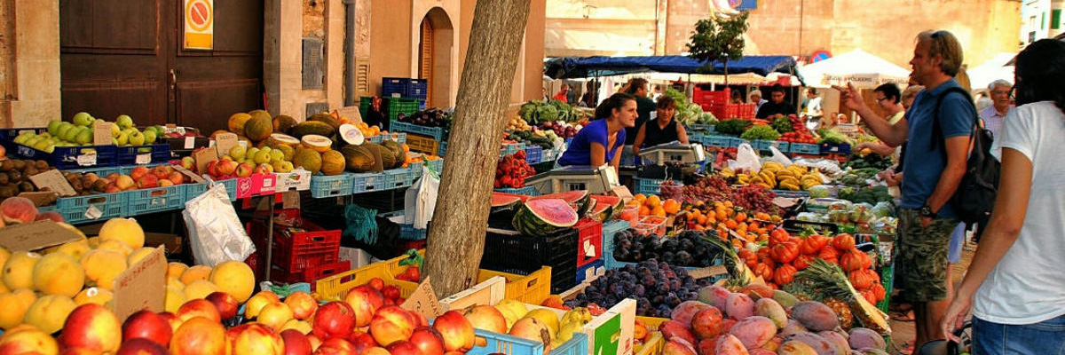 Neubauprojekt „GAUDI“