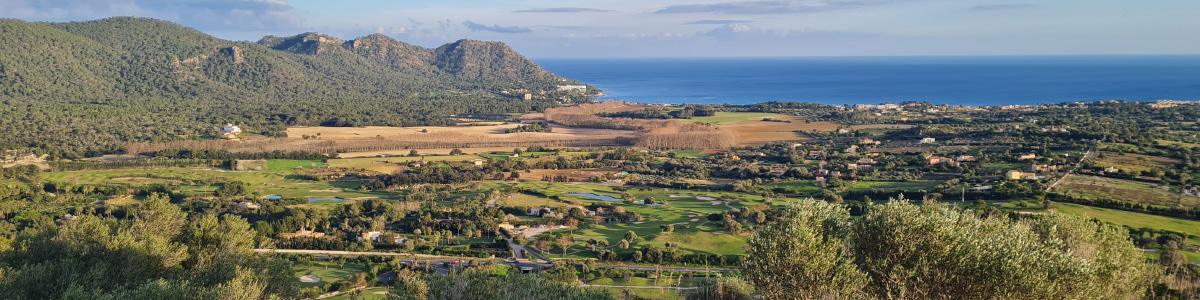 Puig de Son Pentinat