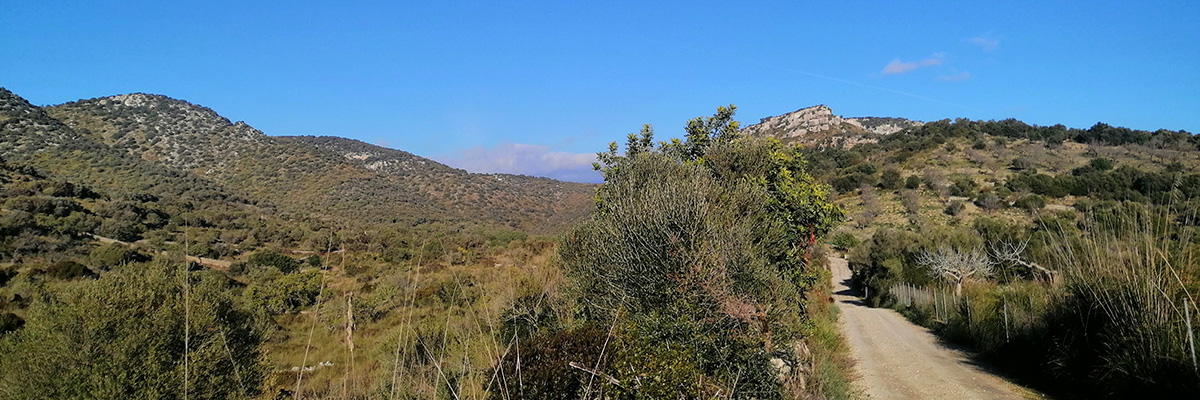 San LLorenzo - puig d'en Sard